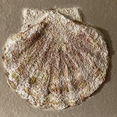 Isabelle Bonzom, Saint Jacques I, buon fresco en bas relief sur terre cuite, buon fresco in low relief on terracotta