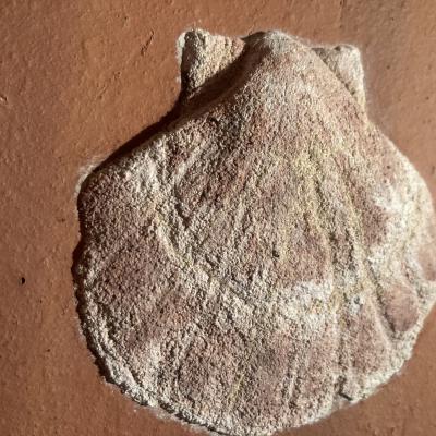 Isabelle Bonzom, Saint Jacques II, buon fresco en bas relief sur terre cuite, buon fresco in low relief on terracotta